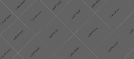 sponsor image