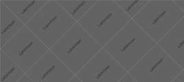 sponsor image
